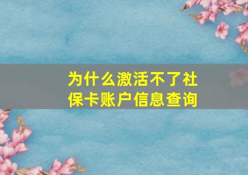 为什么激活不了社保卡账户信息查询