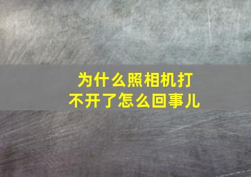 为什么照相机打不开了怎么回事儿