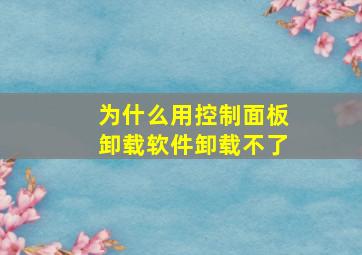 为什么用控制面板卸载软件卸载不了