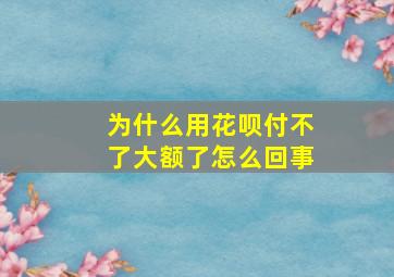 为什么用花呗付不了大额了怎么回事