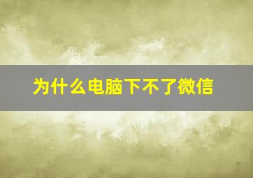 为什么电脑下不了微信