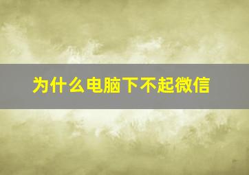 为什么电脑下不起微信