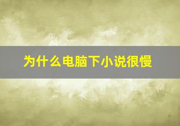 为什么电脑下小说很慢