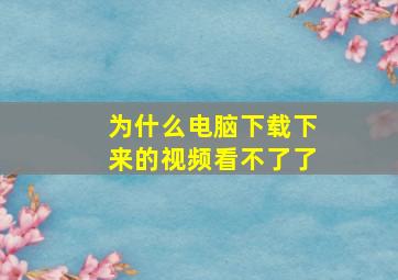 为什么电脑下载下来的视频看不了了