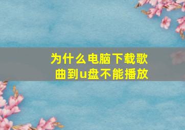 为什么电脑下载歌曲到u盘不能播放