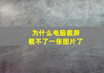 为什么电脑截屏截不了一张图片了