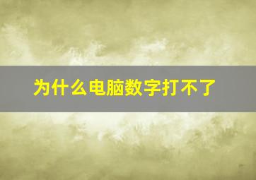 为什么电脑数字打不了