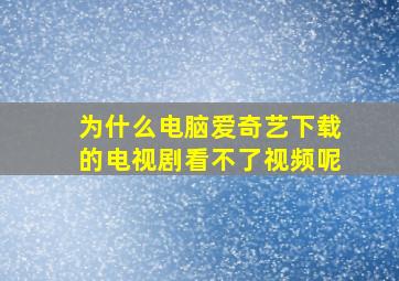 为什么电脑爱奇艺下载的电视剧看不了视频呢