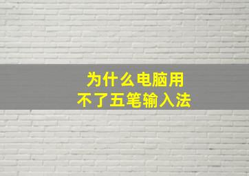 为什么电脑用不了五笔输入法