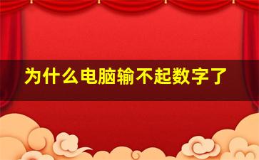 为什么电脑输不起数字了