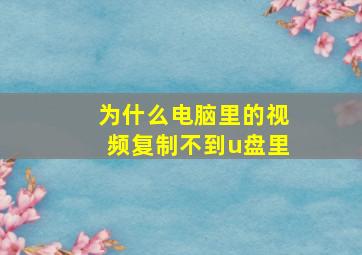 为什么电脑里的视频复制不到u盘里