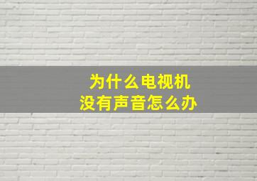 为什么电视机没有声音怎么办