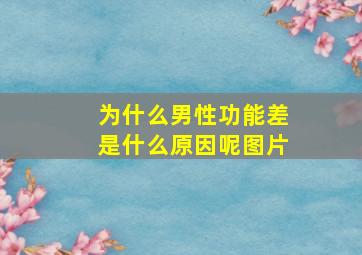 为什么男性功能差是什么原因呢图片