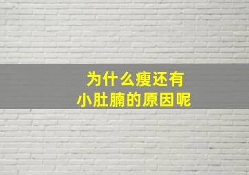 为什么瘦还有小肚腩的原因呢