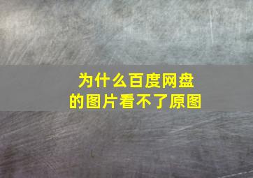 为什么百度网盘的图片看不了原图