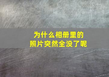 为什么相册里的照片突然全没了呢