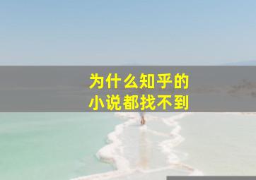 为什么知乎的小说都找不到