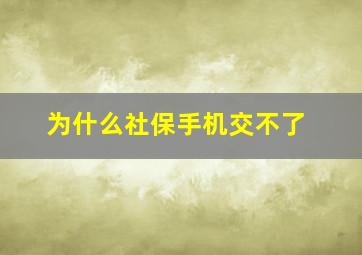 为什么社保手机交不了