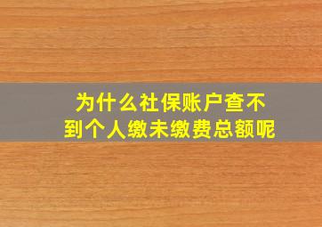 为什么社保账户查不到个人缴未缴费总额呢