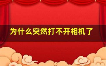 为什么突然打不开相机了