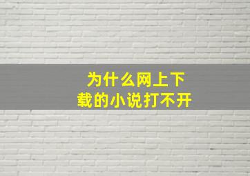 为什么网上下载的小说打不开