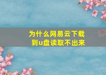 为什么网易云下载到u盘读取不出来