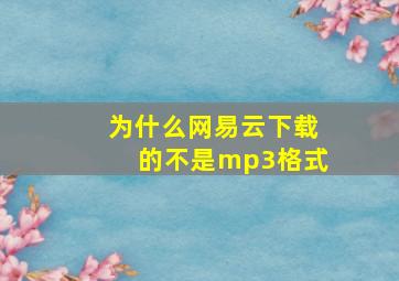 为什么网易云下载的不是mp3格式