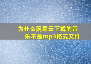 为什么网易云下载的音乐不是mp3格式文件