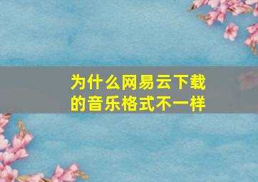 为什么网易云下载的音乐格式不一样