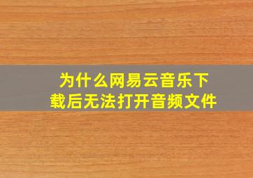 为什么网易云音乐下载后无法打开音频文件