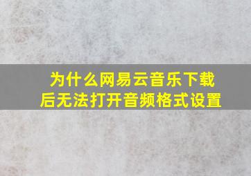 为什么网易云音乐下载后无法打开音频格式设置