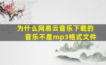 为什么网易云音乐下载的音乐不是mp3格式文件