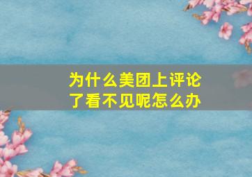 为什么美团上评论了看不见呢怎么办