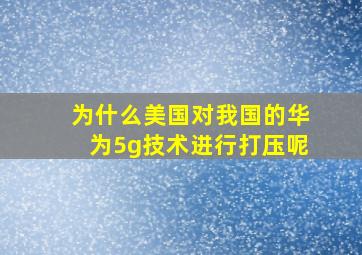 为什么美国对我国的华为5g技术进行打压呢