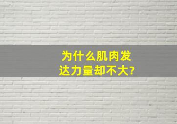 为什么肌肉发达力量却不大?