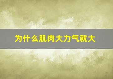 为什么肌肉大力气就大