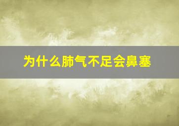 为什么肺气不足会鼻塞