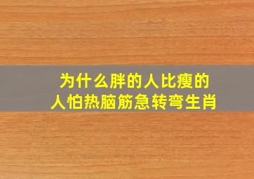 为什么胖的人比瘦的人怕热脑筋急转弯生肖