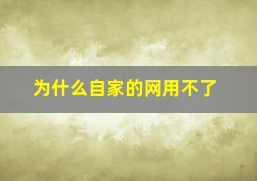 为什么自家的网用不了