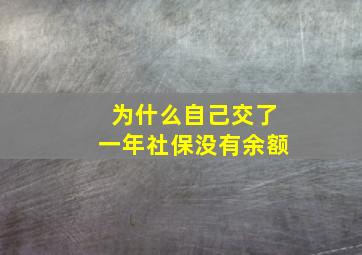 为什么自己交了一年社保没有余额