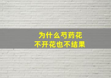 为什么芍药花不开花也不结果