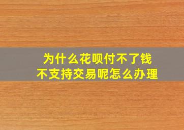 为什么花呗付不了钱不支持交易呢怎么办理