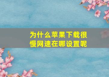 为什么苹果下载很慢网速在哪设置呢