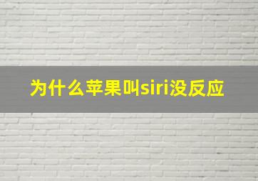 为什么苹果叫siri没反应