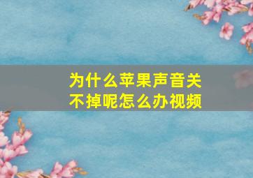 为什么苹果声音关不掉呢怎么办视频