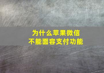 为什么苹果微信不能面容支付功能