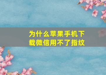 为什么苹果手机下载微信用不了指纹