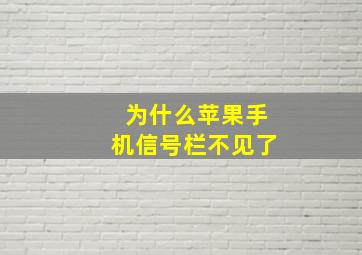 为什么苹果手机信号栏不见了