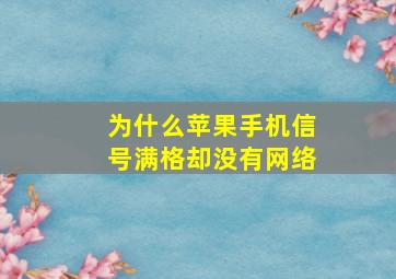 为什么苹果手机信号满格却没有网络