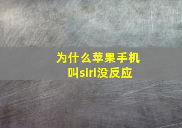 为什么苹果手机叫siri没反应